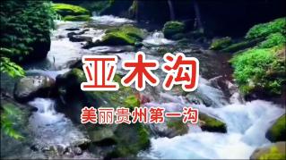 美丽皇后逃脱